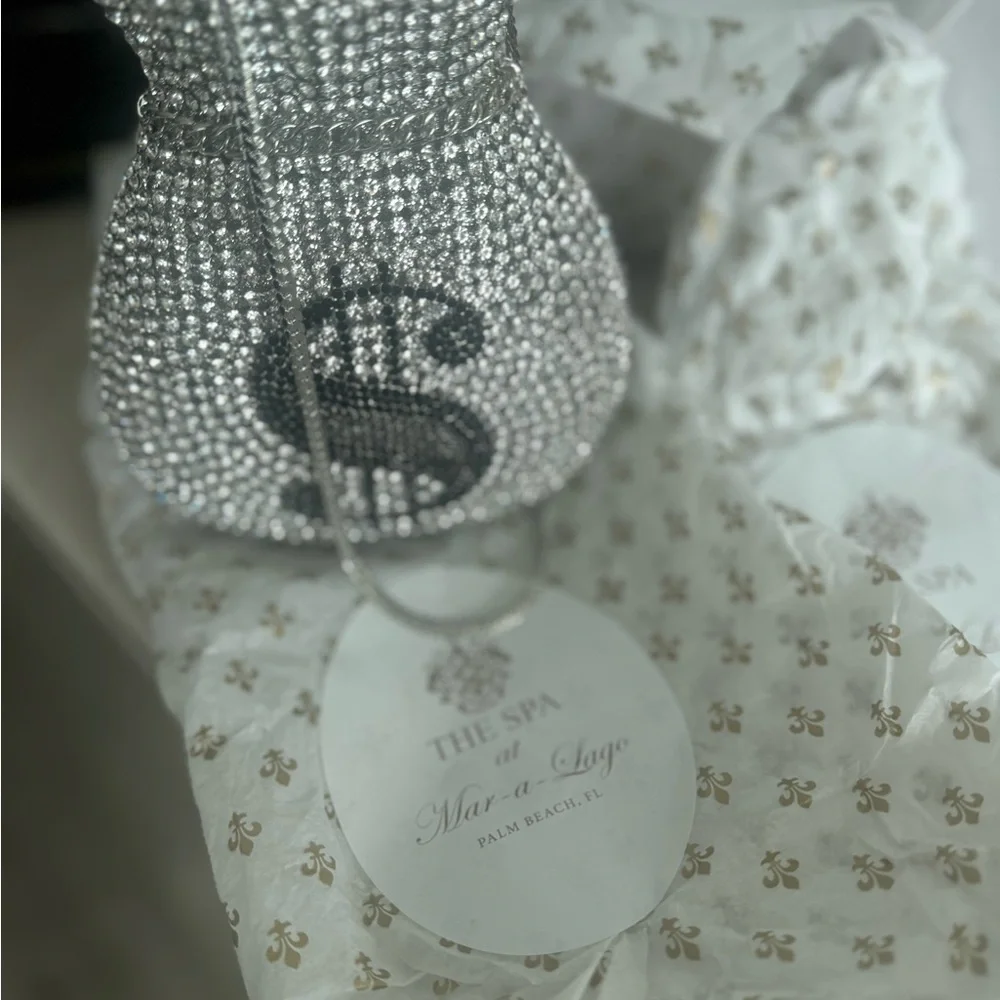 Crystal Rhinestone Dollar Sign Drawstring Clutch - Silver - Picture 2 of 5